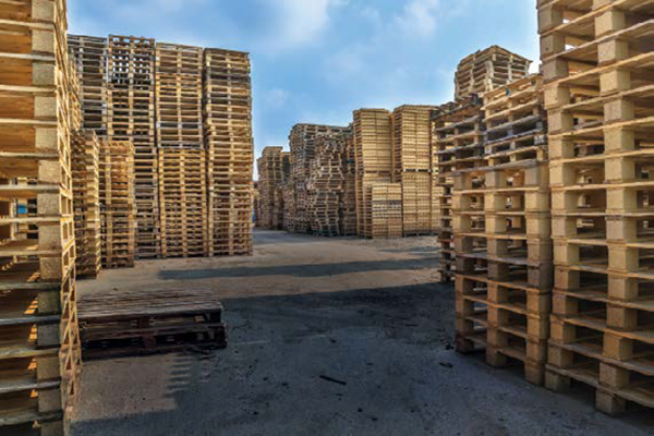 Recyclable-Pallets-in-Modern-Logistics