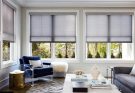 Automated Window Treatments